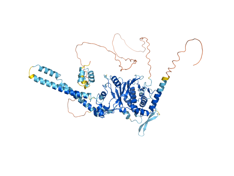 AlphaFold predicted structure of RUP1