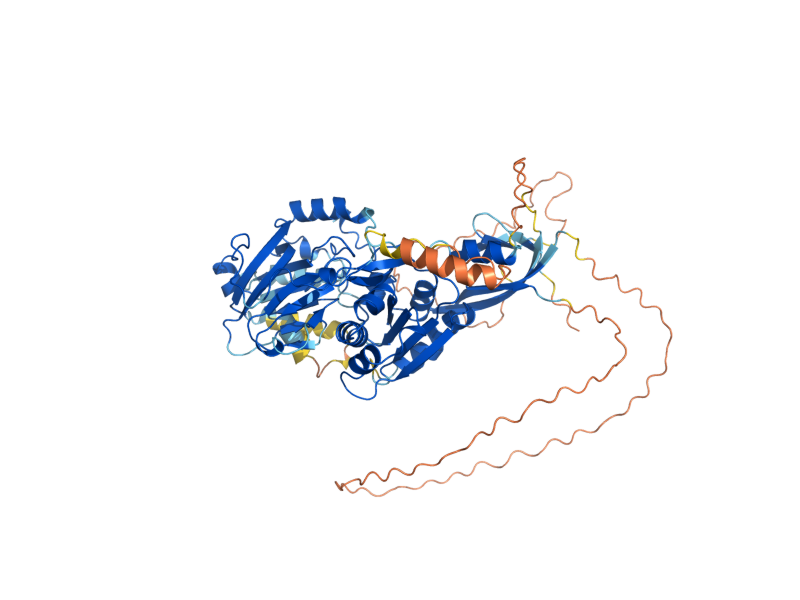 AlphaFold predicted structure of LCB4