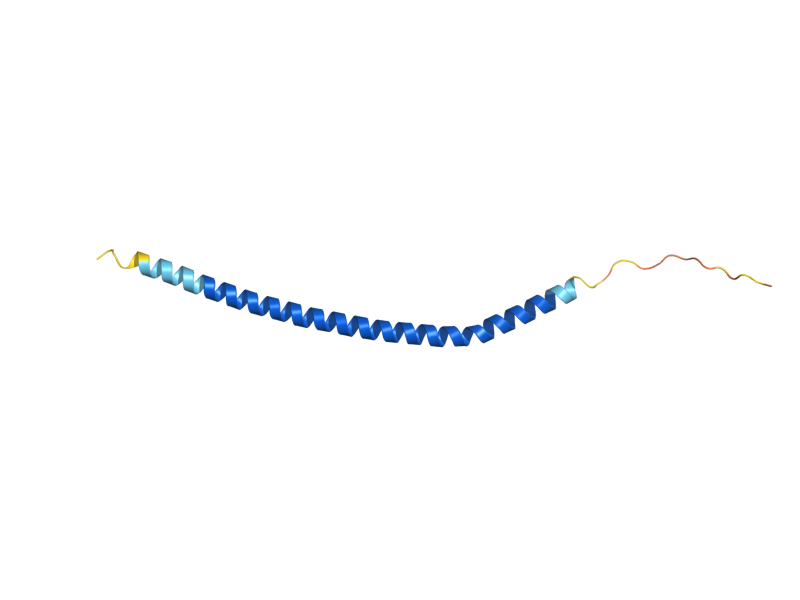 AlphaFold predicted structure of DAD1