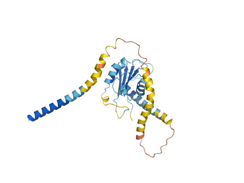 AlphaFold predicted structure of NYV1