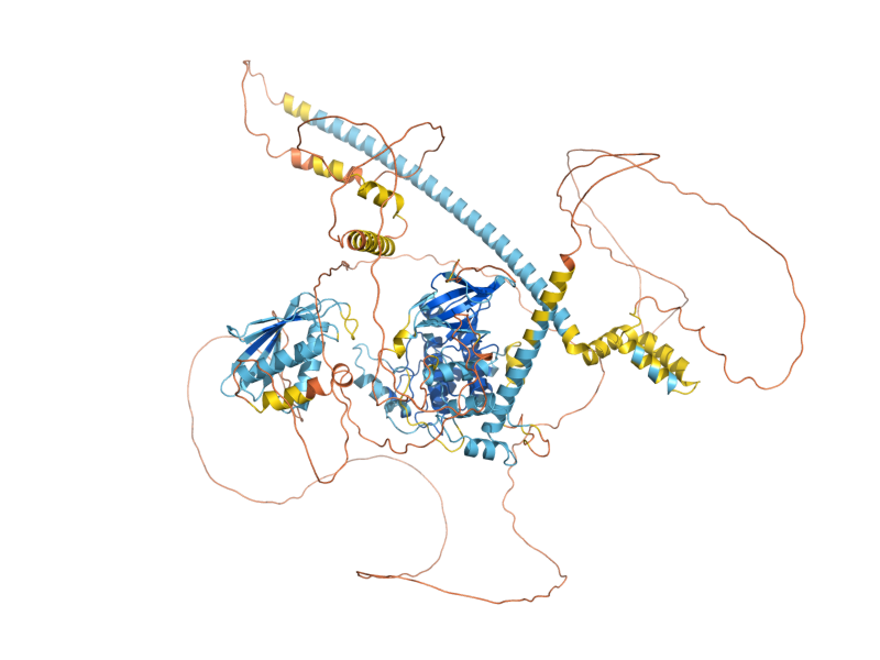 AlphaFold predicted structure of GIN4
