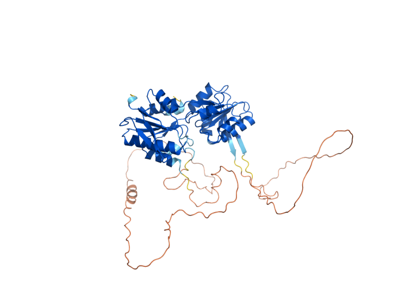 AlphaFold predicted structure of PRS5