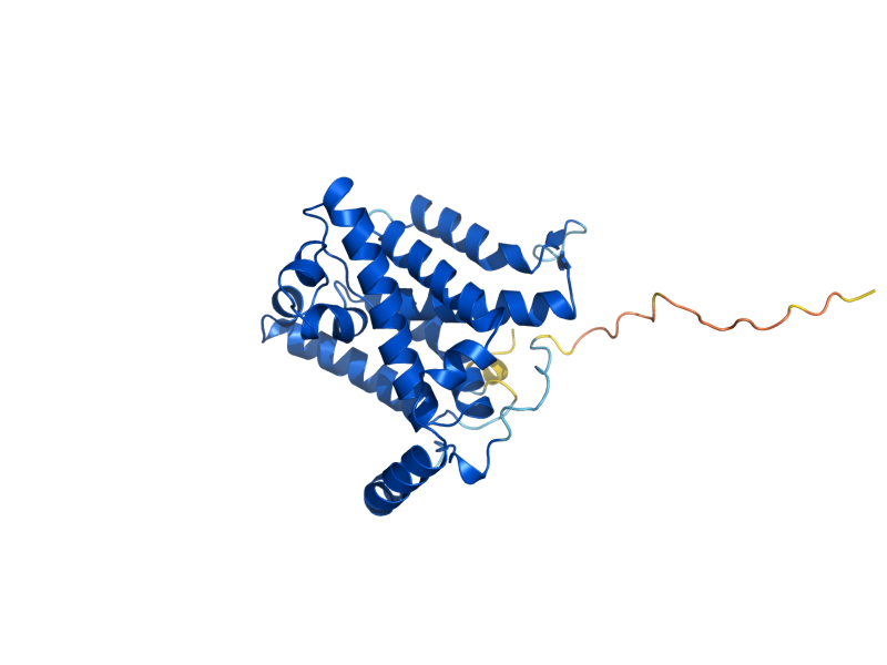 AlphaFold predicted structure of RBD2