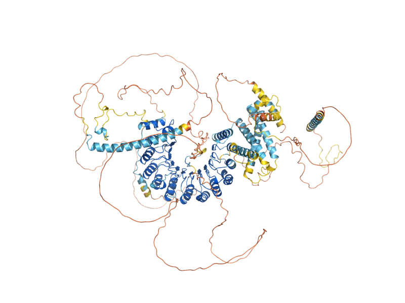AlphaFold predicted structure of HER1