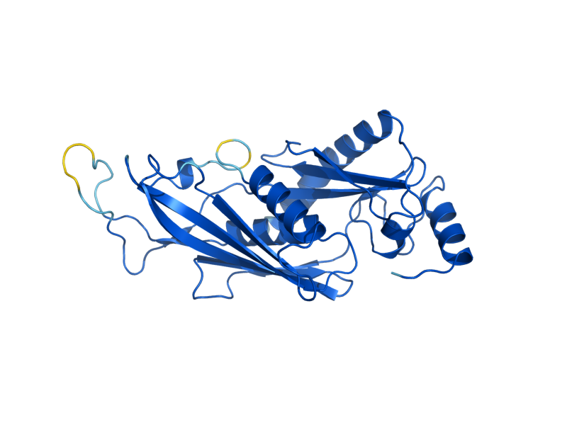 AlphaFold predicted structure of RRP42