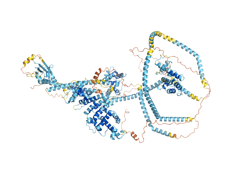 AlphaFold predicted structure of IQG1