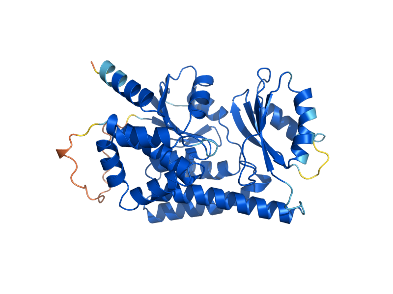 AlphaFold predicted structure of MCT1