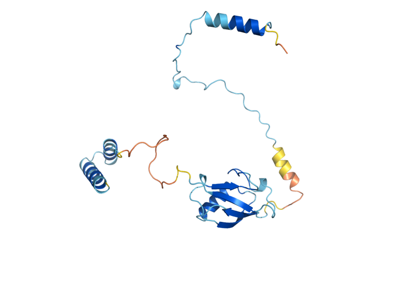 AlphaFold predicted structure of MDY2