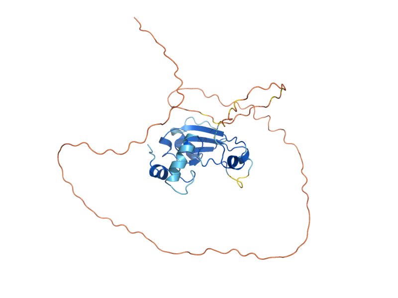 AlphaFold predicted structure of SUT2