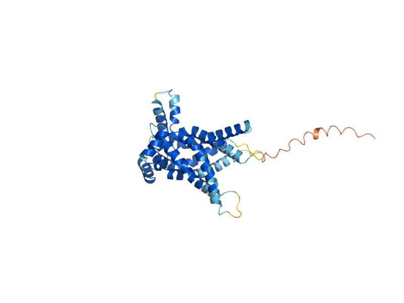 AlphaFold predicted structure of CRC1