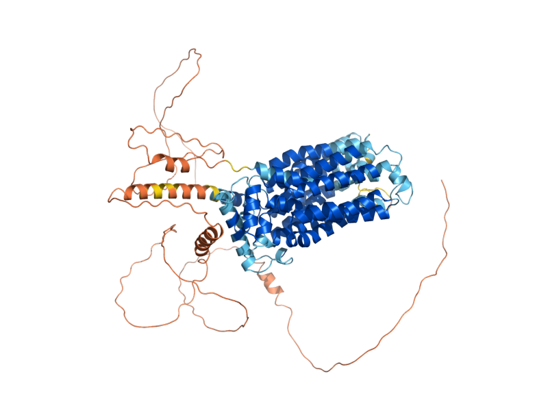 AlphaFold predicted structure of RGT2