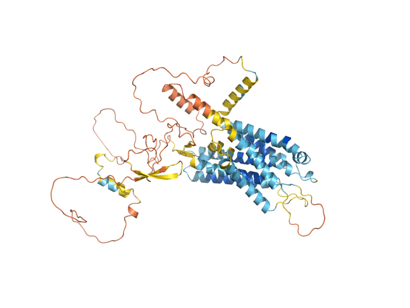 AlphaFold predicted structure of AIT1