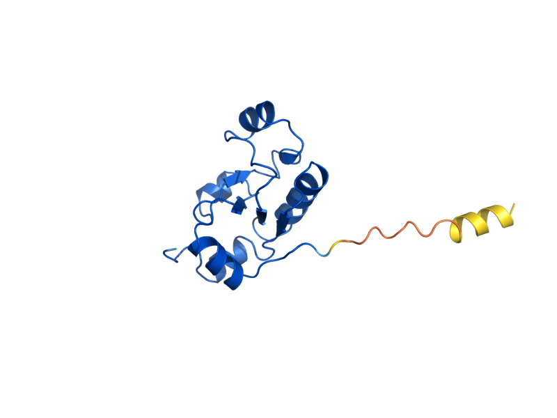 AlphaFold predicted structure of RDL1