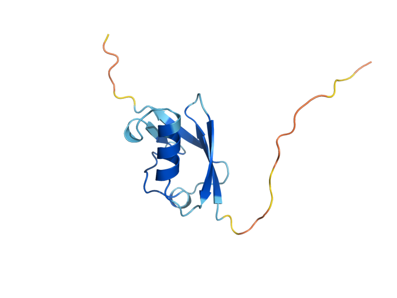 AlphaFold predicted structure of SMT3