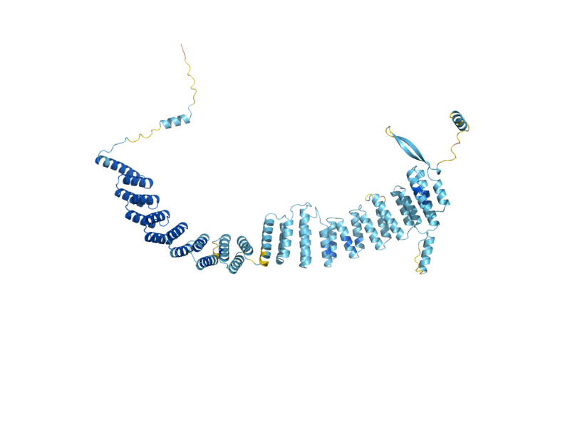 AlphaFold predicted structure of CLF1
