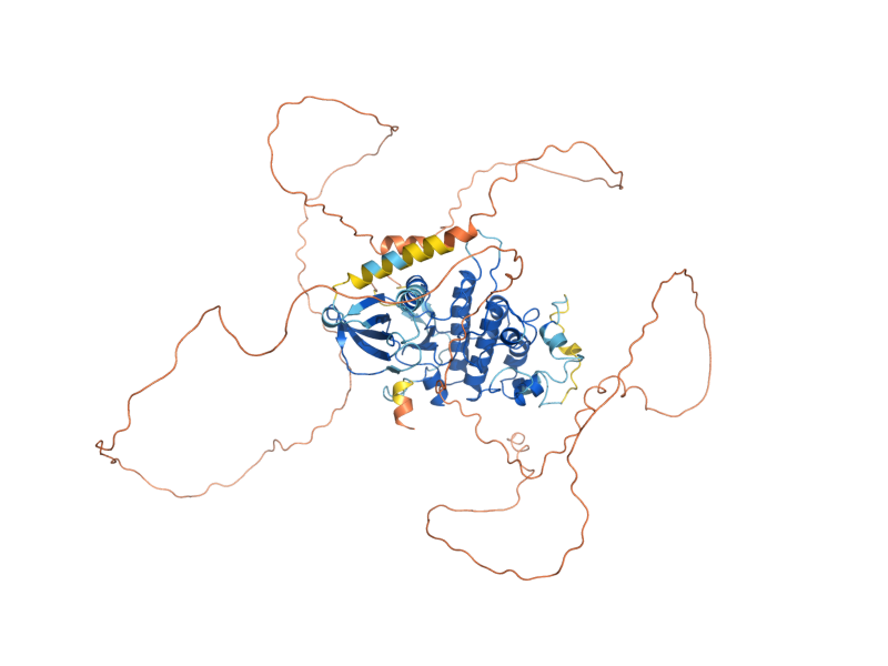 AlphaFold predicted structure of PRR2