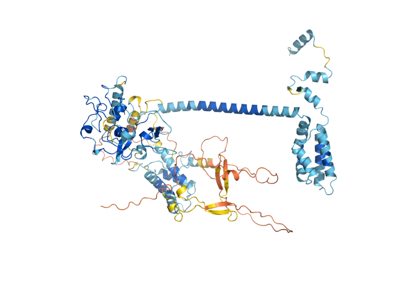 AlphaFold predicted structure of NTO1