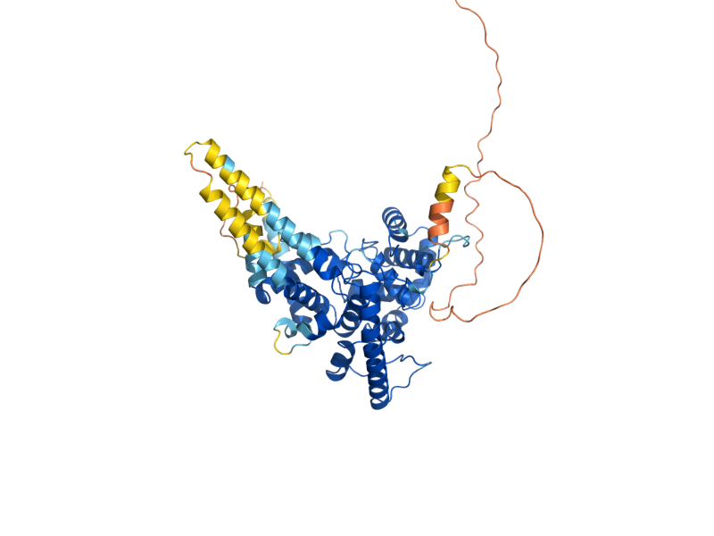 AlphaFold predicted structure of MSB4