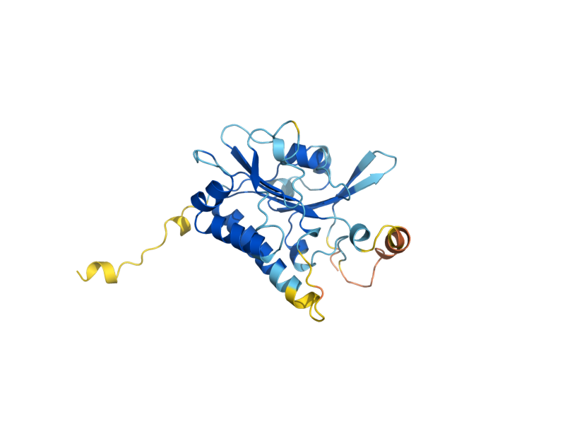 AlphaFold predicted structure of PSY3