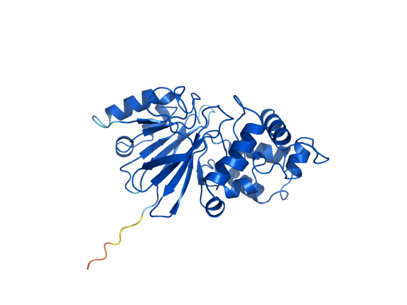 AlphaFold predicted structure of GLO4