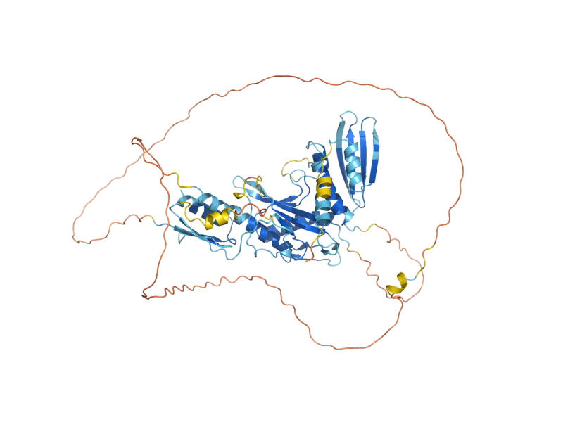 AlphaFold predicted structure of MED1