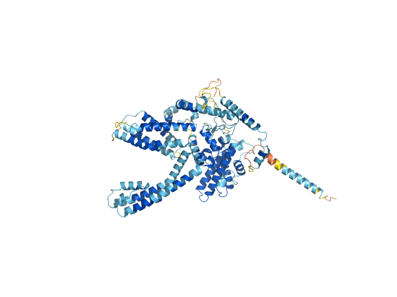 AlphaFold predicted structure of YVC1