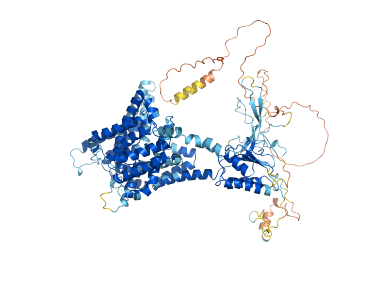 AlphaFold predicted structure of SUL2