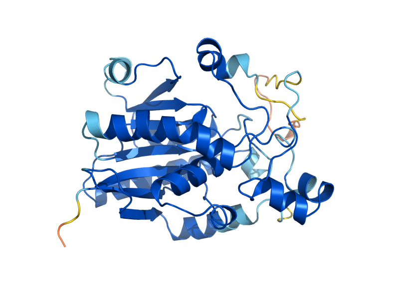 AlphaFold predicted structure of GPM3