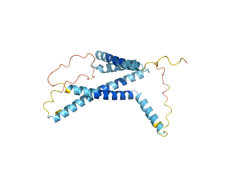AlphaFold predicted structure of TIM22