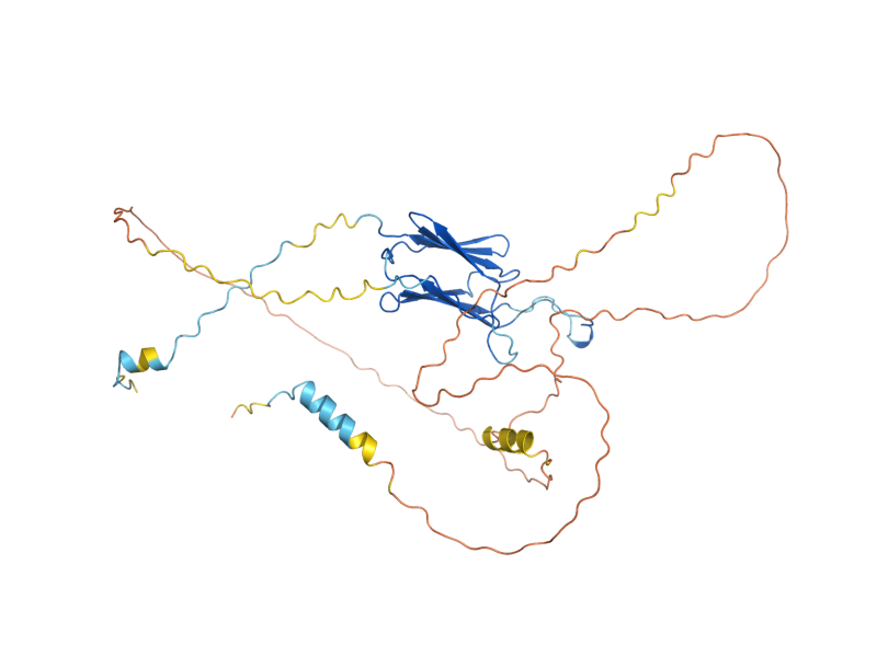AlphaFold predicted structure of HSP42
