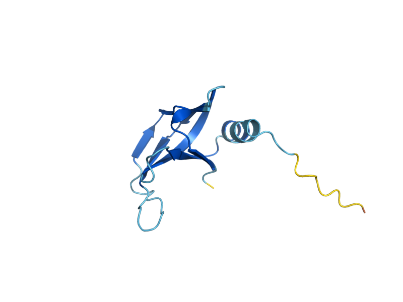 AlphaFold predicted structure of SME1