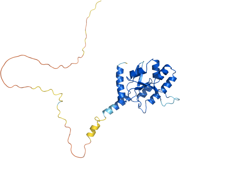 AlphaFold predicted structure of UTP23