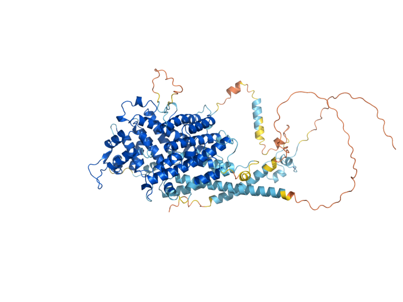AlphaFold predicted structure of YRM1