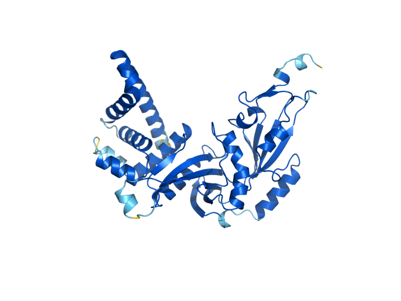 AlphaFold predicted structure of HAT1
