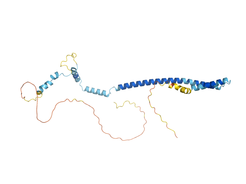 AlphaFold predicted structure of MED4