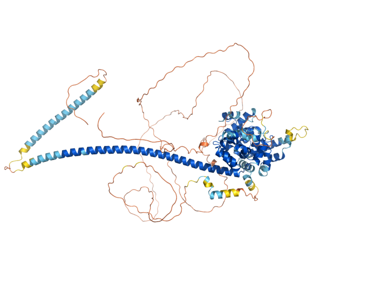 AlphaFold predicted structure of GYP5