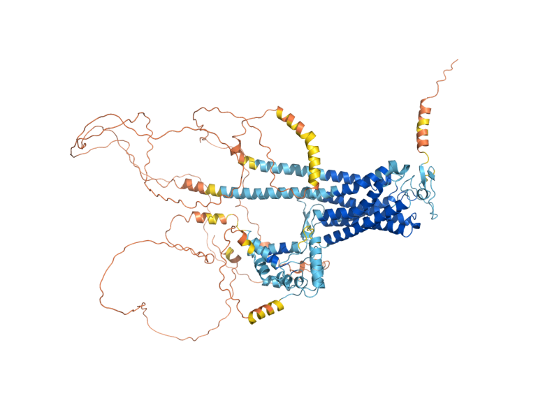 AlphaFold predicted structure of GPR1