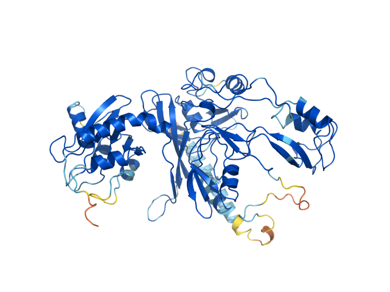 AlphaFold predicted structure of RIB2