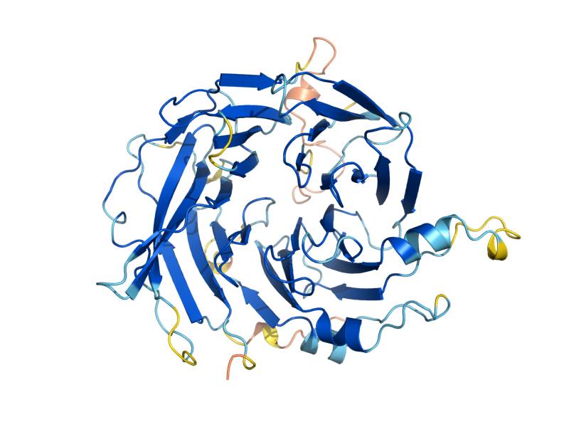 AlphaFold predicted structure of WTM1