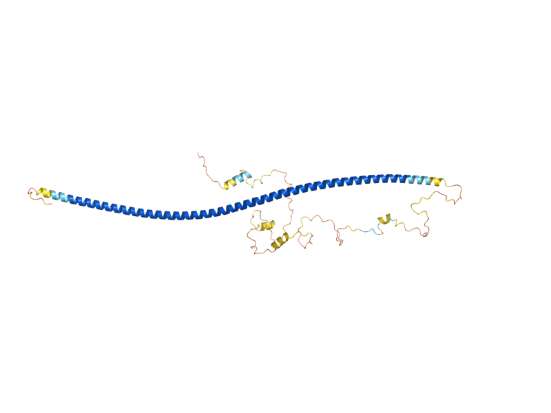 AlphaFold predicted structure of BBP1