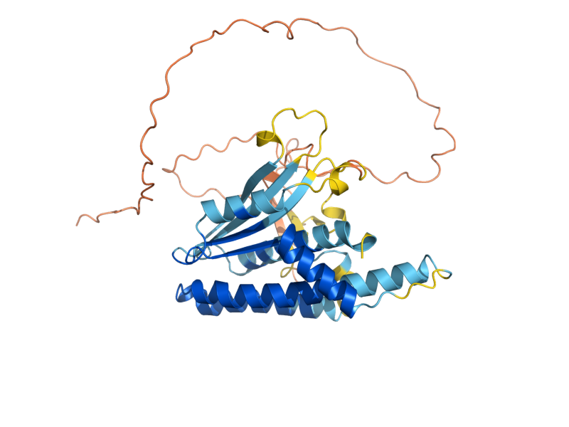 AlphaFold predicted structure of NDJ1
