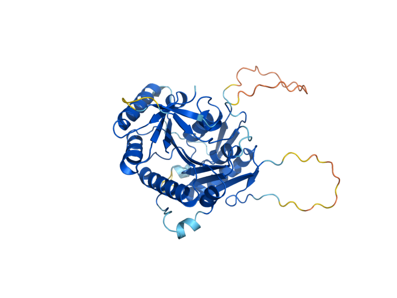 AlphaFold predicted structure of RKM5