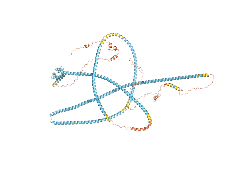 AlphaFold predicted structure of SFI1