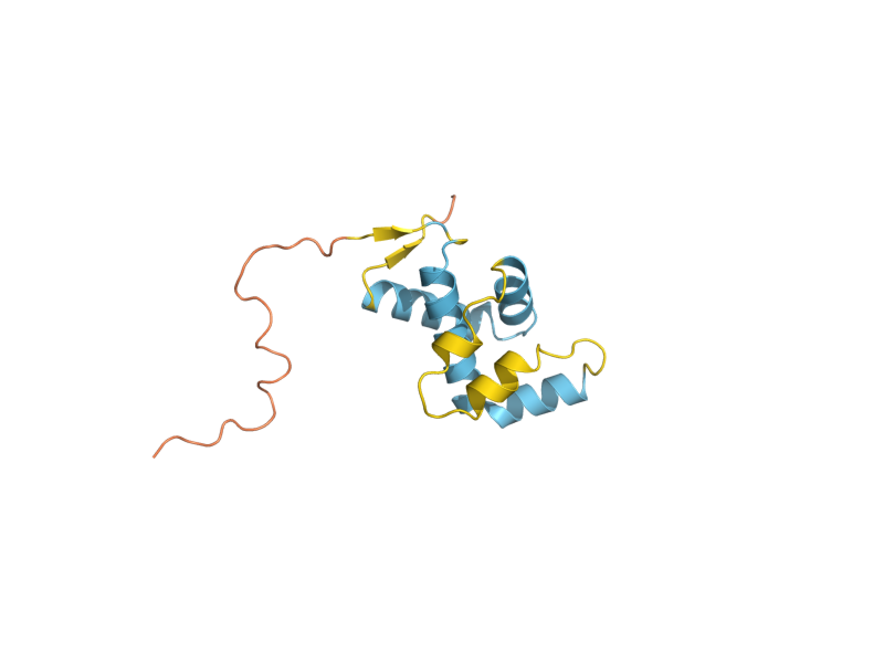 AlphaFold predicted structure of PAU17