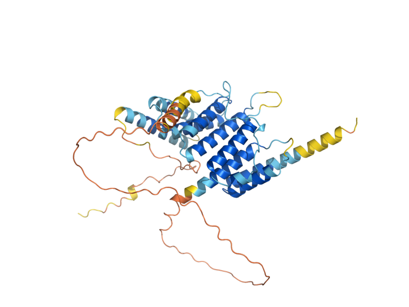 AlphaFold predicted structure of HIF1