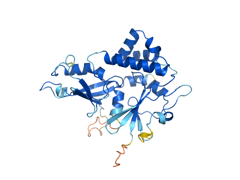 AlphaFold predicted structure of ATG5