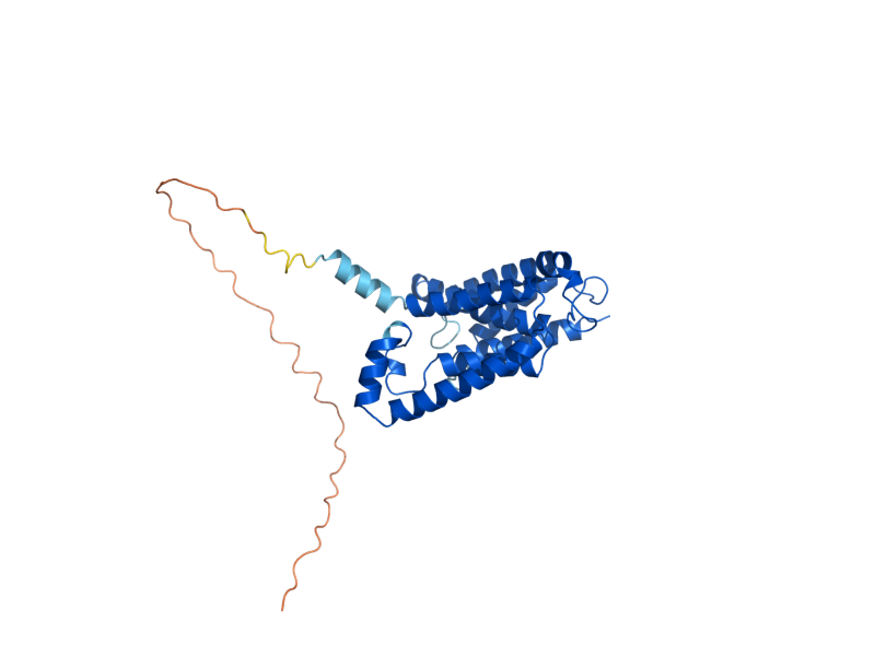 AlphaFold predicted structure of DGK1
