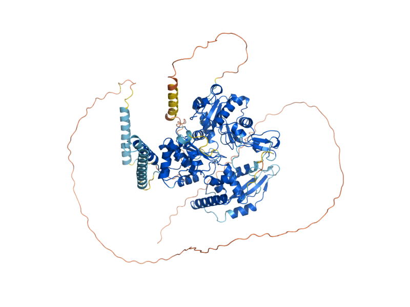 AlphaFold predicted structure of ARP8