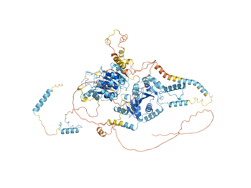 AlphaFold predicted structure of DBP10