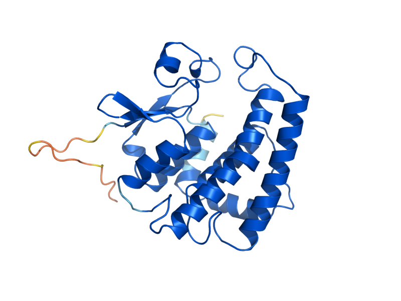 AlphaFold predicted structure of GTT2